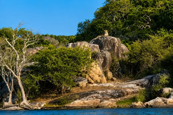 kumana